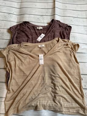 LOFT Short Sleeve V-Neck Stripe Tees - Beige and Brown